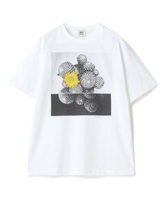 MEN'S BIGI / メンズビギ Tシャツ | 【THE FASCINATED/ザ ファシネイテッド】コラボ サボテンイエローグラフィックTシャツ