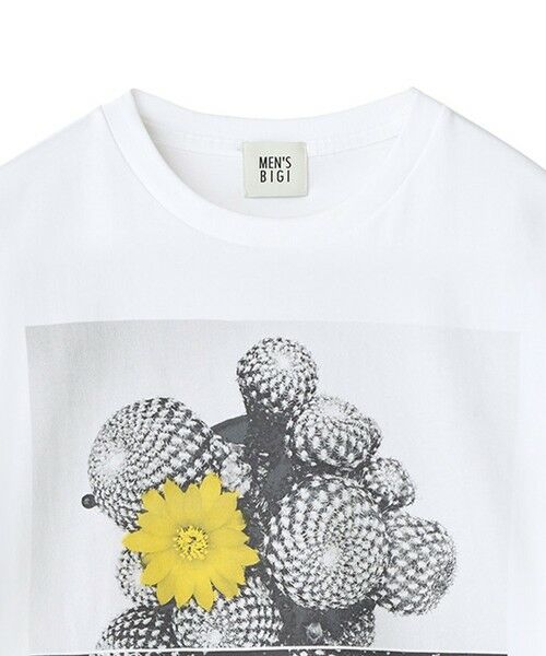 MEN'S BIGI / メンズビギ Tシャツ | 【THE FASCINATED/ザ ファシネイテッド】コラボ サボテンイエローグラフィックTシャツ | 詳細1