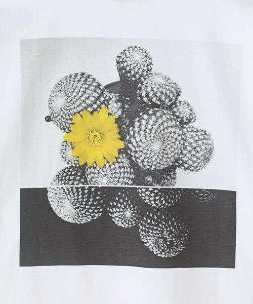 MEN'S BIGI / メンズビギ Tシャツ | 【THE FASCINATED/ザ ファシネイテッド】コラボ サボテンイエローグラフィックTシャツ | 詳細2