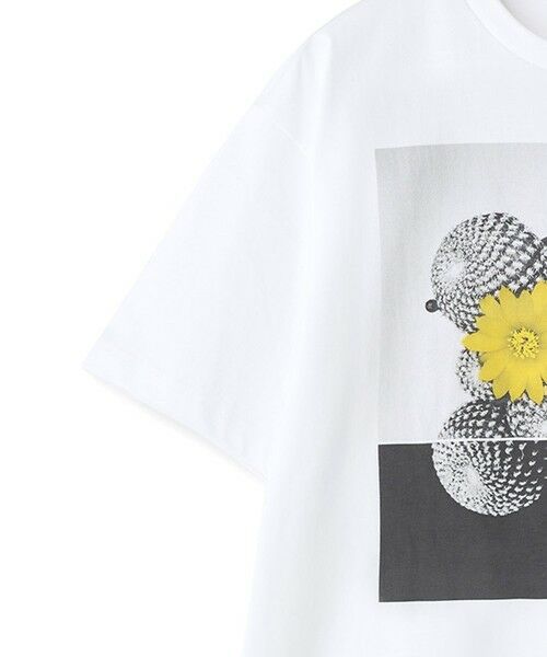 MEN'S BIGI / メンズビギ Tシャツ | 【THE FASCINATED/ザ ファシネイテッド】コラボ サボテンイエローグラフィックTシャツ | 詳細3