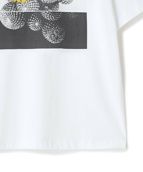 MEN'S BIGI / メンズビギ Tシャツ | 【THE FASCINATED/ザ ファシネイテッド】コラボ サボテンイエローグラフィックTシャツ | 詳細4