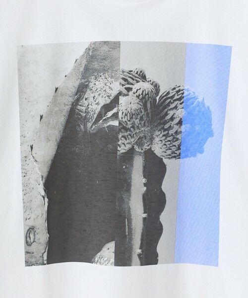 MEN'S BIGI / メンズビギ Tシャツ | 【THE FASCINATED/ザ ファシネイテッド】コラボ サボテンブルーグラフィックTシャツ | 詳細7