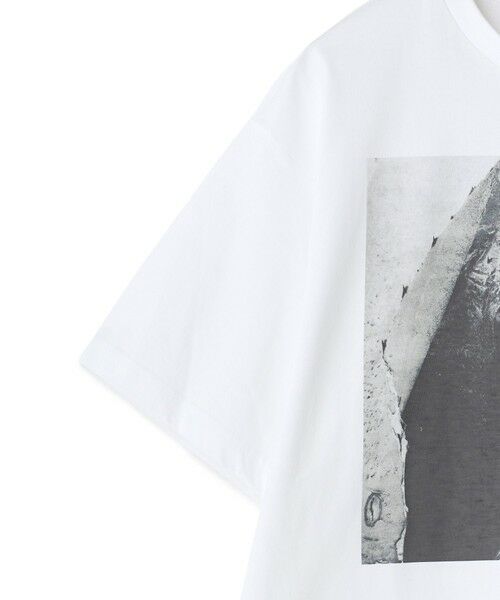 MEN'S BIGI / メンズビギ Tシャツ | 【THE FASCINATED/ザ ファシネイテッド】コラボ サボテンブルーグラフィックTシャツ | 詳細9