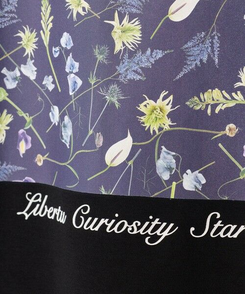 MEN'S BIGI / メンズビギ Tシャツ | 【HIBIYA-KADAN】コラボグラフィックTシャツ | 詳細24