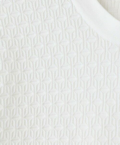 MEN'S BIGI / メンズビギ Tシャツ | 【ACTIVE TAILOR】ブリスターニットジャカードＴシャツ＜通気性/速乾性＞ | 詳細7