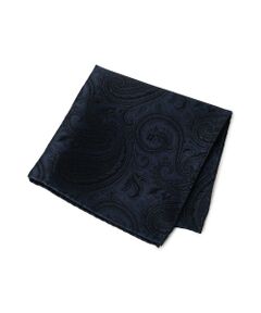 MEN'S BIGI / メンズビギ その他小物 | シャドーペイズリー柄 シルクチーフ