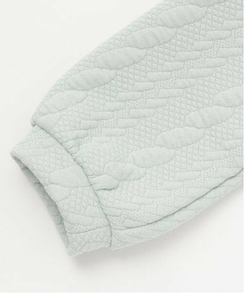 mezzo piano / メゾピアノ ミニ丈・ひざ丈ワンピース | どうぶつアップリケ　ジャガードワンピース | 詳細9