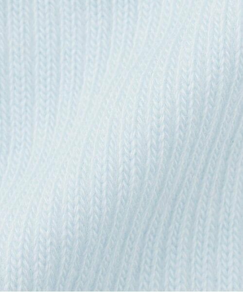 mezzo piano / メゾピアノ ソックス | ロゴ刺しゅう　メローリブソックス | 詳細3