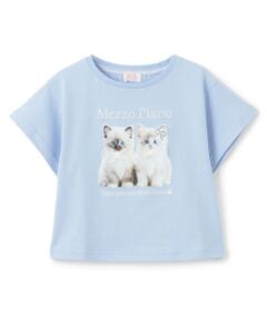 mezzo piano / メゾピアノ Tシャツ | 子猫プリント　半袖Tシャツ