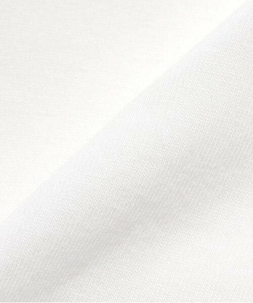 mezzo piano / メゾピアノ ミニ丈・ひざ丈ワンピース | バラ刺繍オーガンジーワンピース＆インナーセット | 詳細12