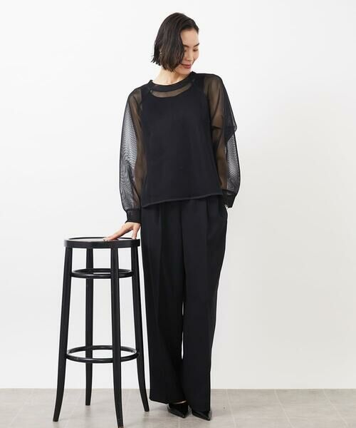 MICHEL KLEIN / ミッシェルクラン カットソー | シアーメッシュプルオーバー | 詳細4