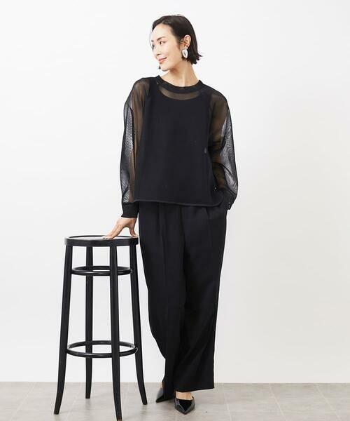 MICHEL KLEIN / ミッシェルクラン カットソー | シアーメッシュプルオーバー | 詳細5