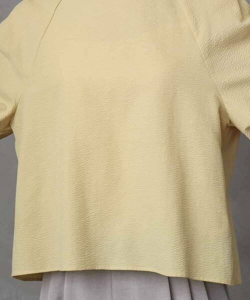 MICHEL KLEIN / ミッシェルクラン シャツ・ブラウス | ボリュームスリーブブラウス | 詳細20