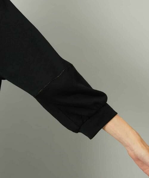 MICHEL KLEIN / ミッシェルクラン カットソー | シアー裏毛アクセントラメプルオーバー | 詳細11