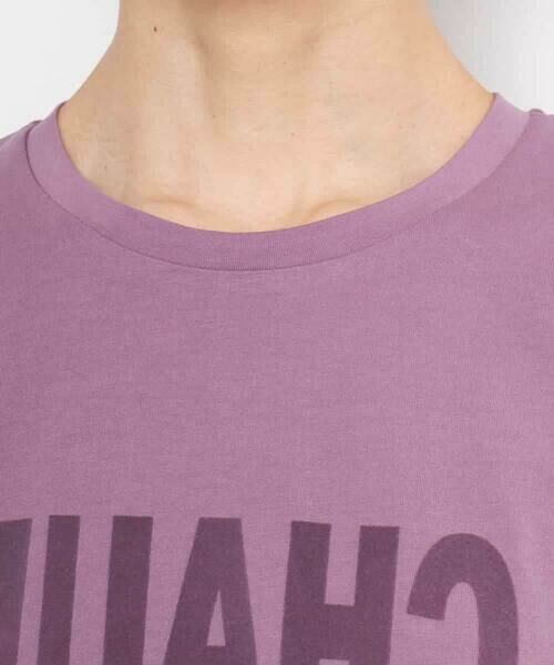 MICHEL KLEIN / ミッシェルクラン カットソー | フロッキーロゴTシャツ | 詳細30