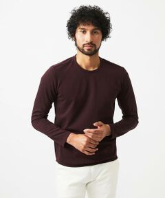 MICHEL KLEIN HOMME / ミッシェルクランオム カットソー | クルーネック長袖カットソー