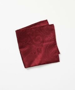 MICHEL KLEIN HOMME / ミッシェルクランオム ハンカチ | ポケットチーフ