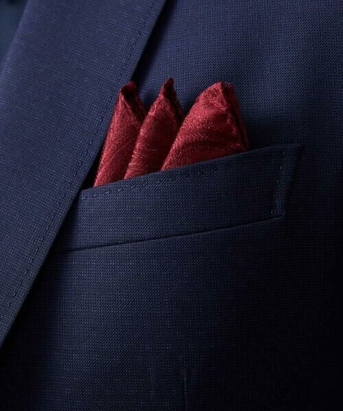 MICHEL KLEIN HOMME / ミッシェルクランオム ハンカチ | ポケットチーフ | 詳細5