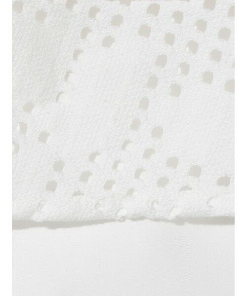 MIDIUMISOLID / ミディウミソリッド ロング・マキシ丈スカート | MIDIUMISOLID for Ladies レースレイヤードスカート | 詳細1