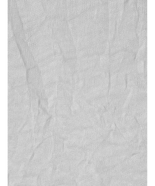 MIDIUMISOLID / ミディウミソリッド カットソー | MIDIUMISOLID for Ladies シースルーハイネックスリーブインナー | 詳細19