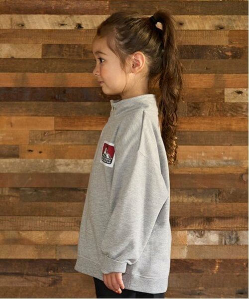 minimal / ミニマル スウェット | 【BEN DAVIS】ハーフジップ裏毛 PO | 詳細1