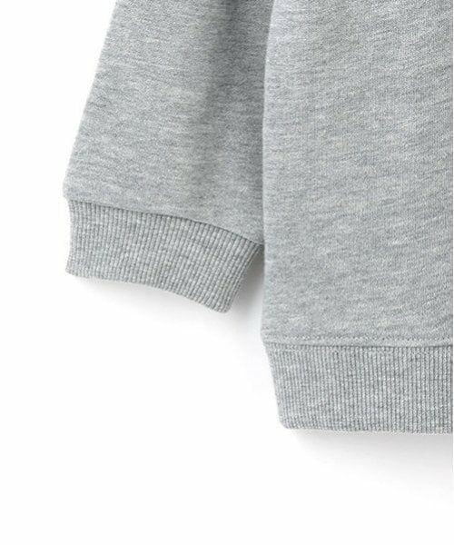 minimal / ミニマル スウェット | 【BEN DAVIS】ハーフジップ裏毛 PO | 詳細13