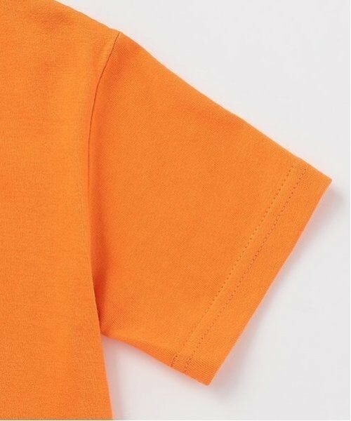 minimal / ミニマル Tシャツ | 【the FOX】【防汚加工】サガラワッペンTEE | 詳細20