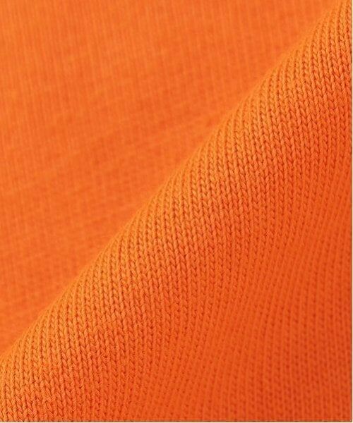 minimal / ミニマル Tシャツ | 【the FOX】【防汚加工】サガラワッペンTEE | 詳細23