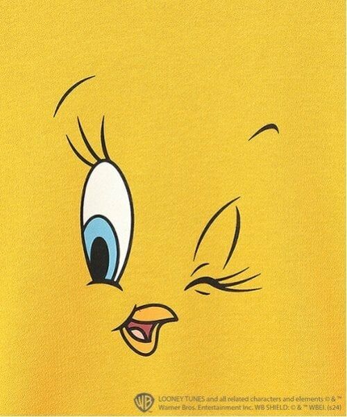 minimal / ミニマル スウェット | 【トゥイーティー】ポンチプルオーバー | 詳細14