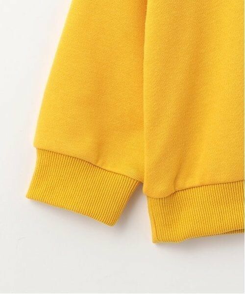 minimal / ミニマル スウェット | 【トゥイーティー】ポンチプルオーバー | 詳細16