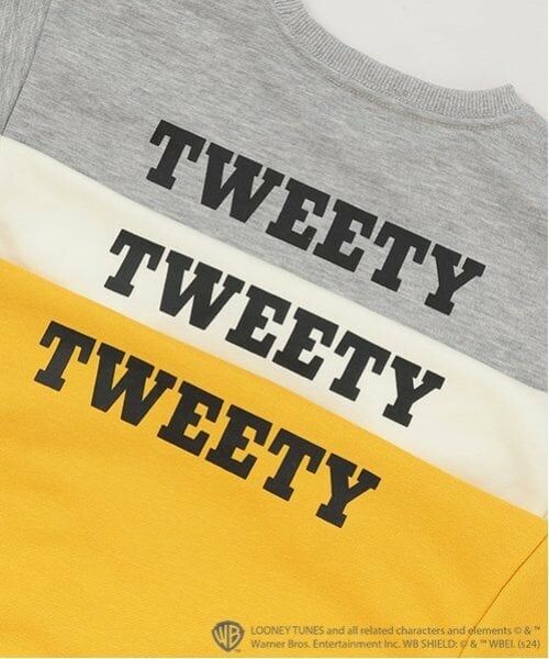 minimal / ミニマル スウェット | 【トゥイーティー】ポンチプルオーバー | 詳細17