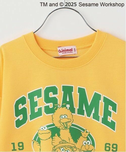 minimal / ミニマル スウェット | 【セサミストリート】ミニ裏毛トレーナー | 詳細17
