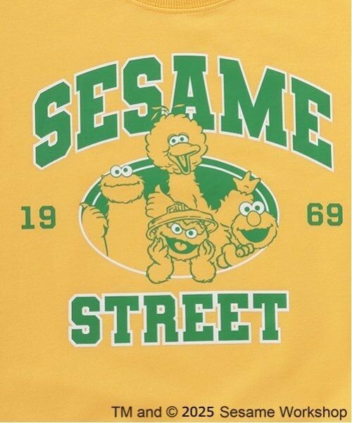 minimal / ミニマル スウェット | 【セサミストリート】ミニ裏毛トレーナー | 詳細20