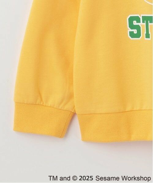 minimal / ミニマル スウェット | 【セサミストリート】ミニ裏毛トレーナー | 詳細21