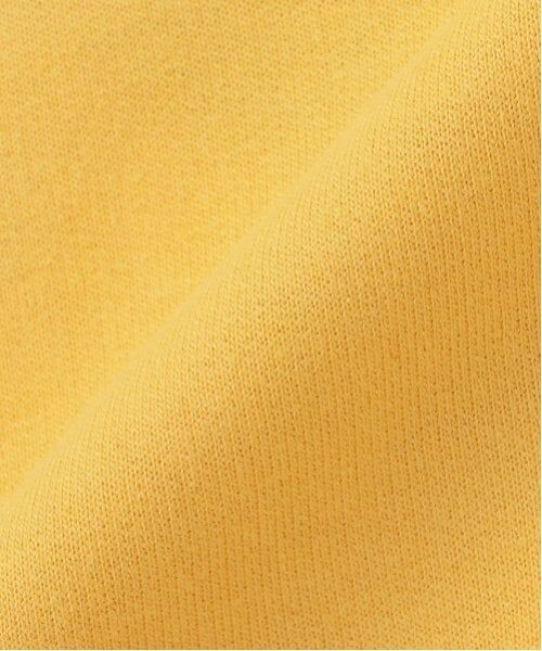 minimal / ミニマル スウェット | 【セサミストリート】ミニ裏毛トレーナー | 詳細24