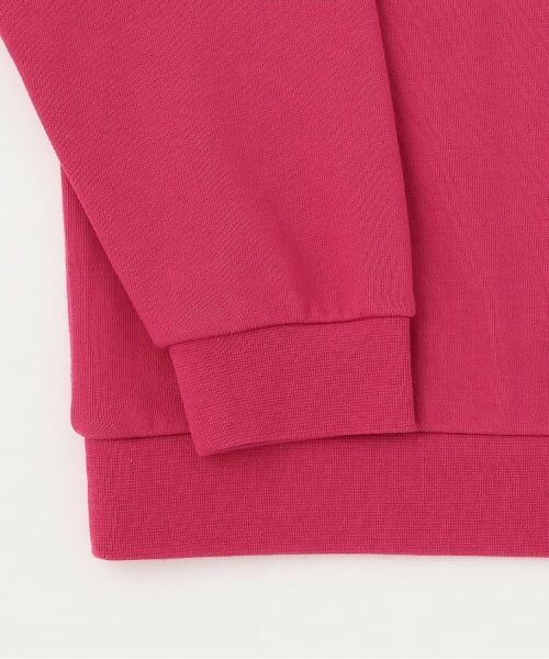 minimal / ミニマル スウェット | 【コブマスター】バックデザインプルオーバー | 詳細4