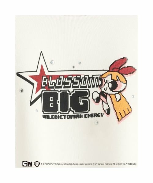 minimal / ミニマル Tシャツ | 【防汚加工】【パワーパフ ガールズ】アソートキャラ裏毛 | 詳細5