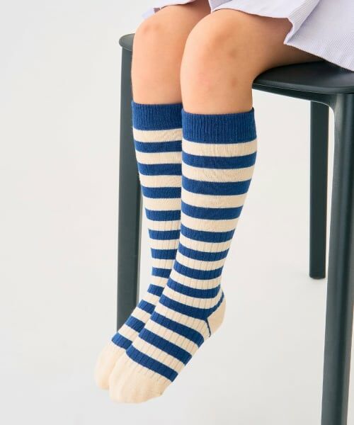 minimal / ミニマル ソックス | アソートボーダーソックス（紺）