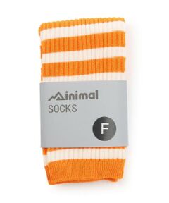 minimal / ミニマル ソックス | サイズレスボーダーソックス