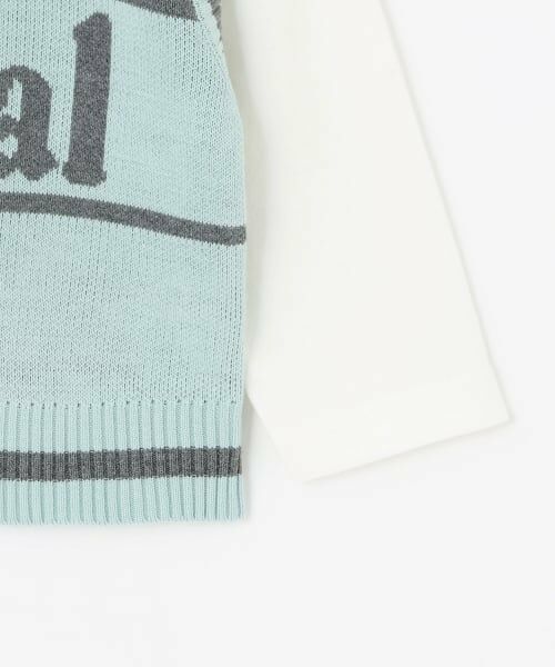 minimal / ミニマル Tシャツ | 【アラエル】ベストレイヤードTシャツ | 詳細15