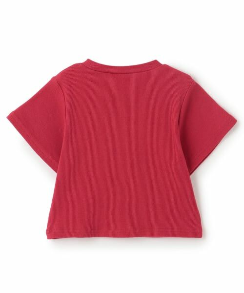 minimal / ミニマル Tシャツ | 【サラサラプラス】【吸水速乾】テレコ半袖ちびT | 詳細20