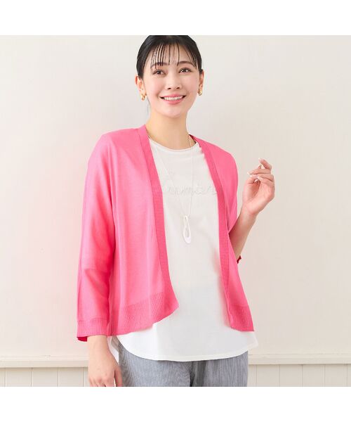 missel / ミゼール カットソー | 【洗える・綿100%・日本製・L～4Lサイズ】Lumiere刺繍カットソー | 詳細3