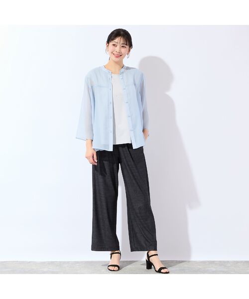 missel / ミゼール シャツ・ブラウス | 【洗える・L～3Lサイズ】シアーブラウス | 詳細10