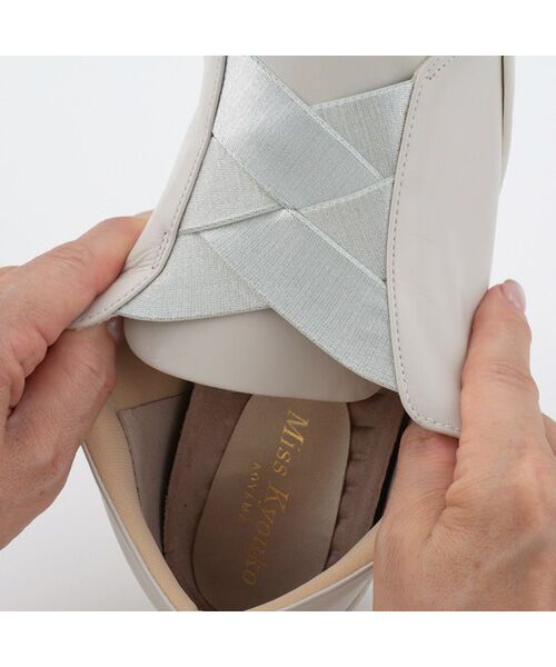 笠 井笠鉄道 Z7808＆Z8406 : バス三昧