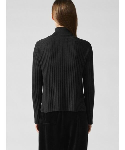 mizuiro ind / ミズイロインド ニット・セーター | mizuiro ind ワイドリブタートルネックプルオーバー | 詳細14