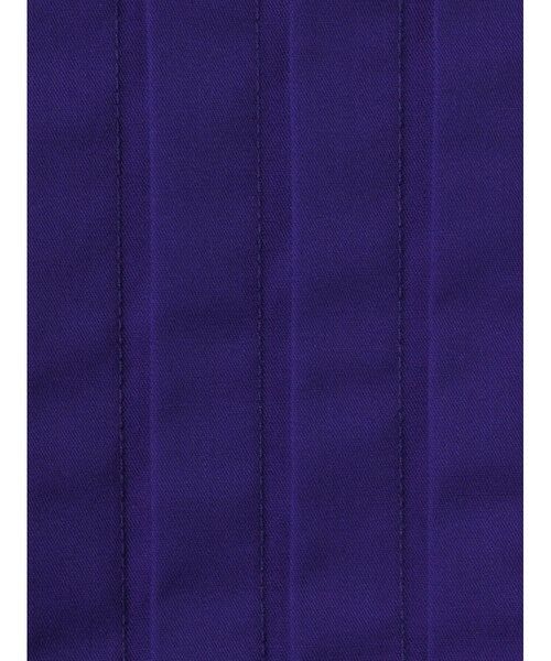 mizuiro ind / ミズイロインド シャツ・ブラウス | mizuiro ind クルーネックピンタックシャツ | 詳細2