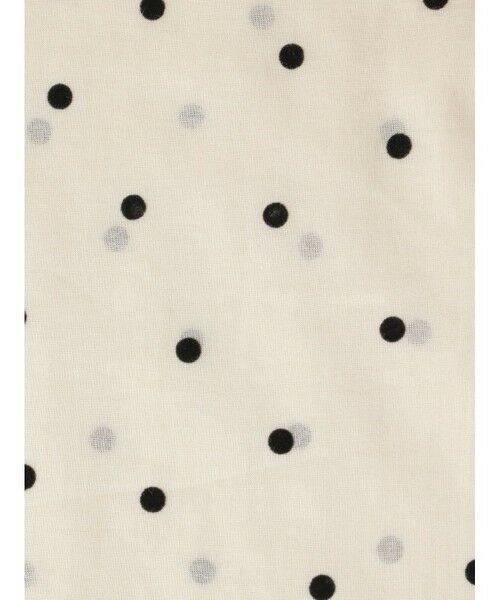 mizuiro ind / ミズイロインド シャツ・ブラウス | mizuiro ind フロッキードットプリントシャツ | 詳細10