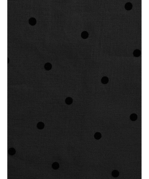 mizuiro ind / ミズイロインド シャツ・ブラウス | mizuiro ind フロッキードットプリントシャツ | 詳細12