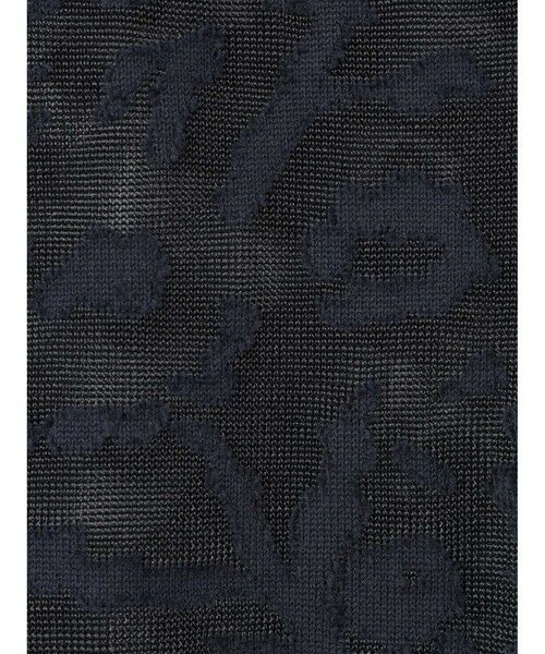 mizuiro ind / ミズイロインド ベスト | mizuiro ind メッシュ刺繍ショートベスト | 詳細1