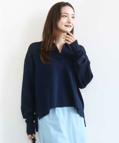 MK MICHEL KLEIN / エムケーミッシェルクラン ニット・セーター | 衿付きラガーニット/洗える